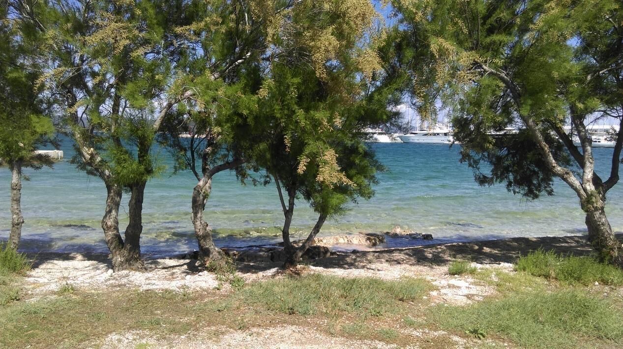Photo of Outdoor in Municipality of Murter
