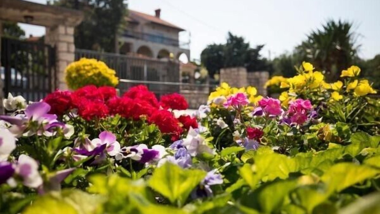 Photo of Outdoor in Kastav