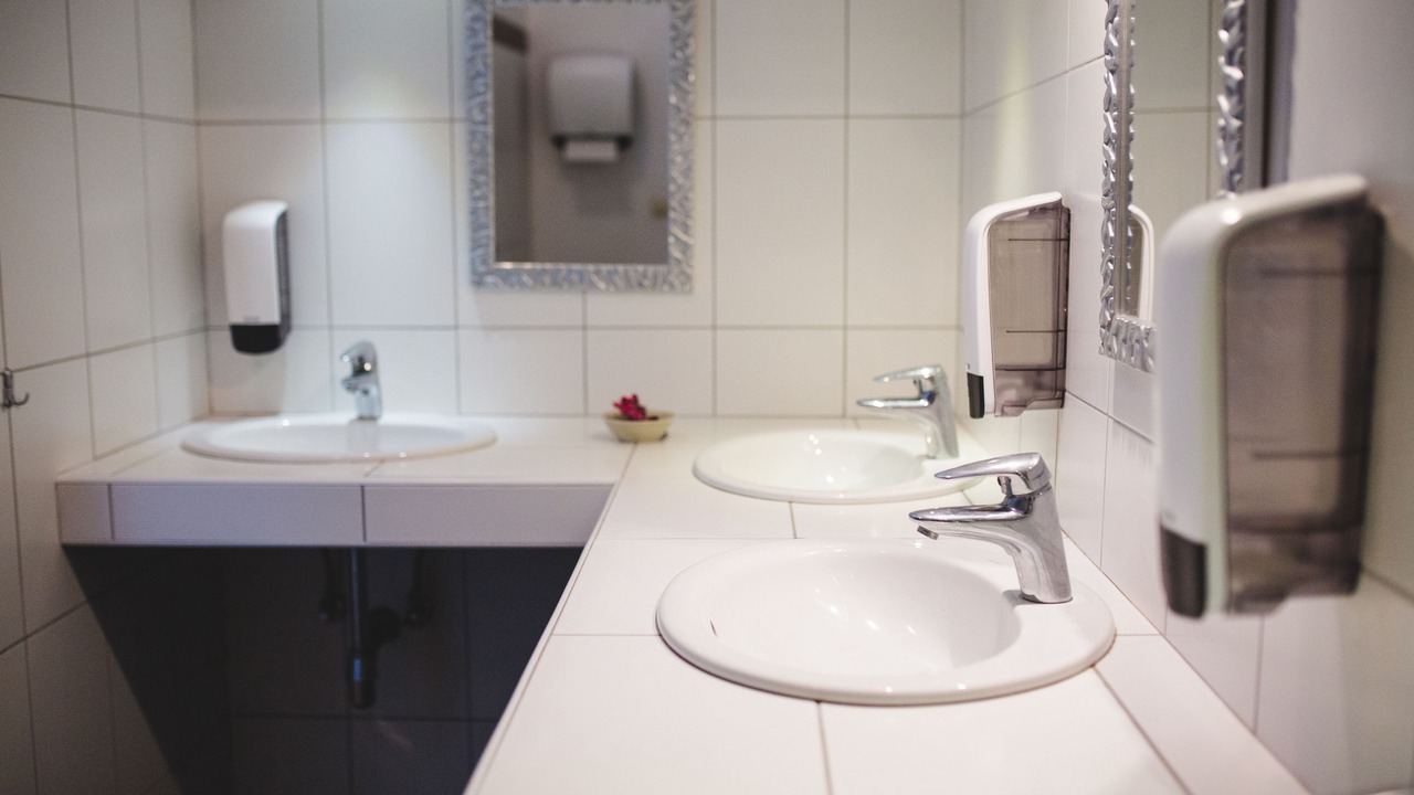 Photo of Bathroom in Plisac
