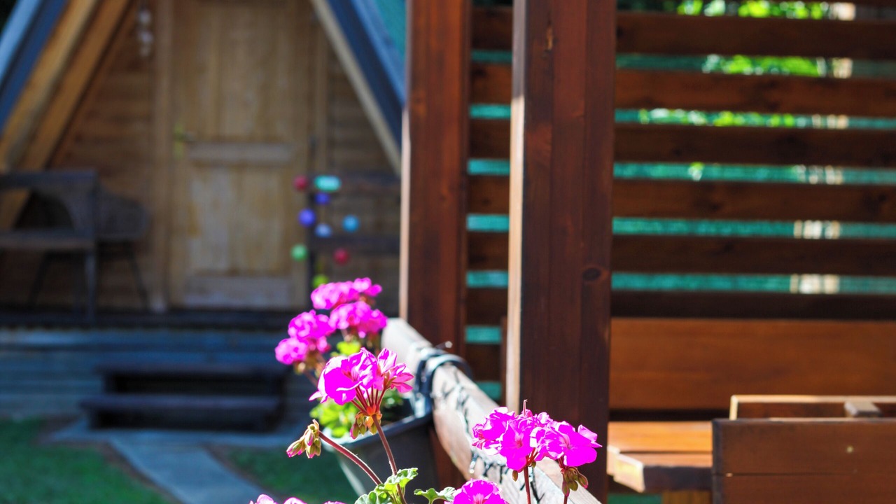 Photo of Outdoor in Seliste
