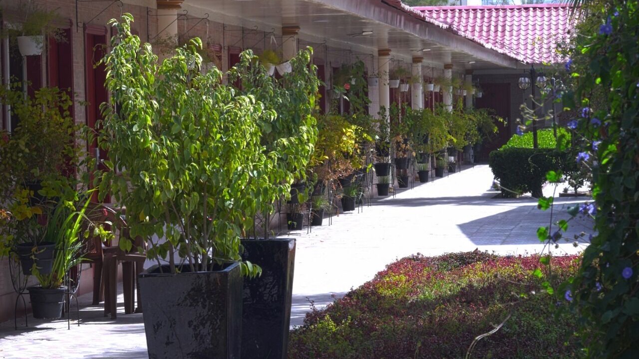 Photo of Outdoor in Beach & Coast