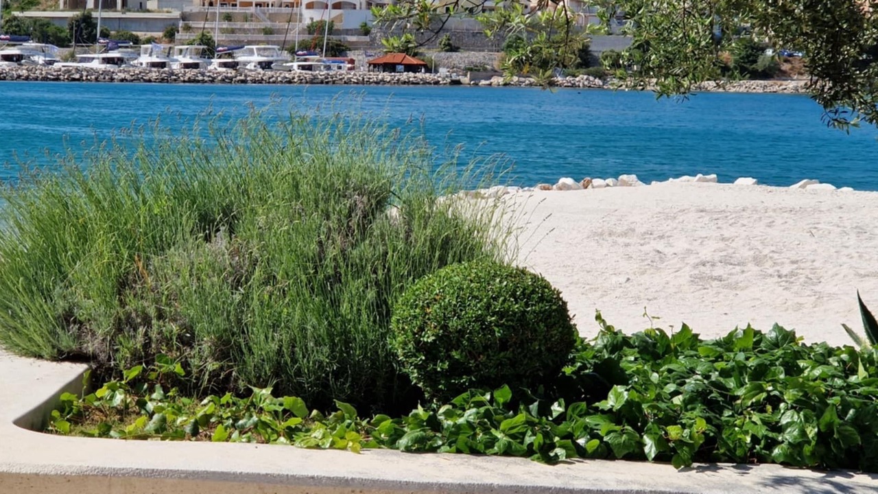 Photo of Others in Marina
