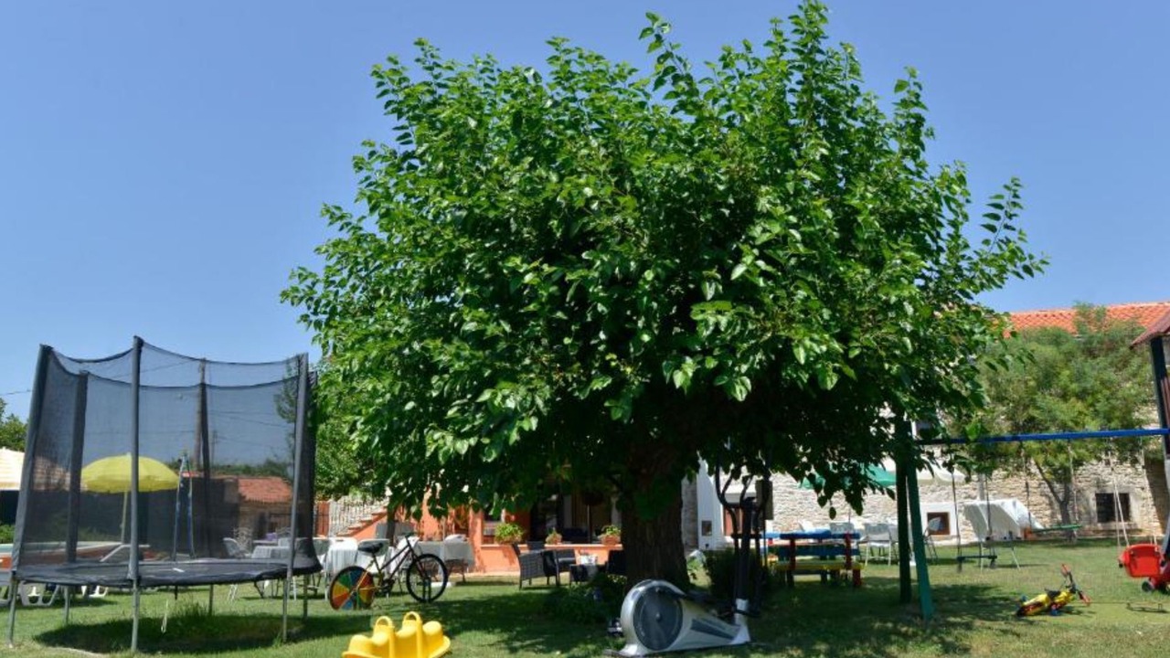 Photo of Outdoor in Vodnjan