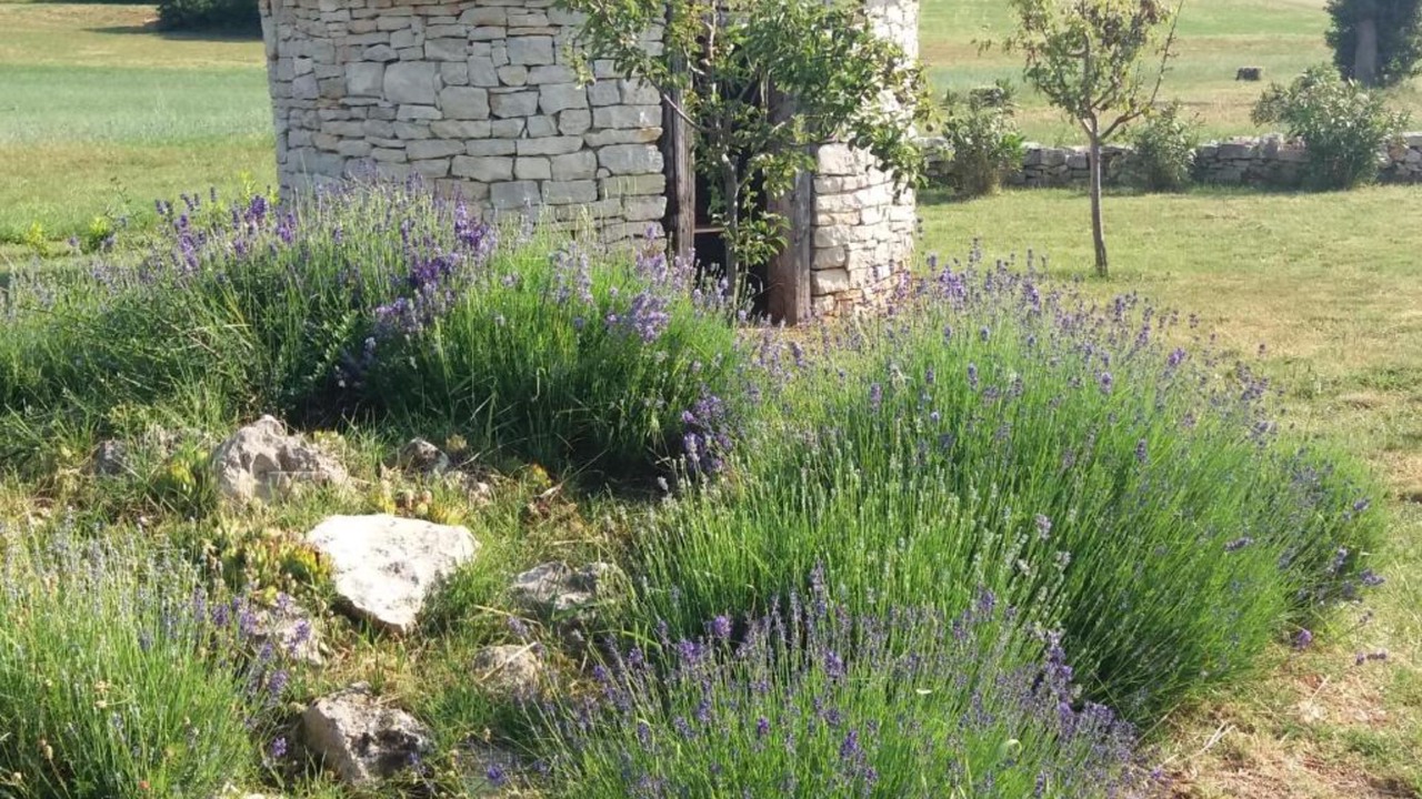 Photo of Outdoor in Vodnjan