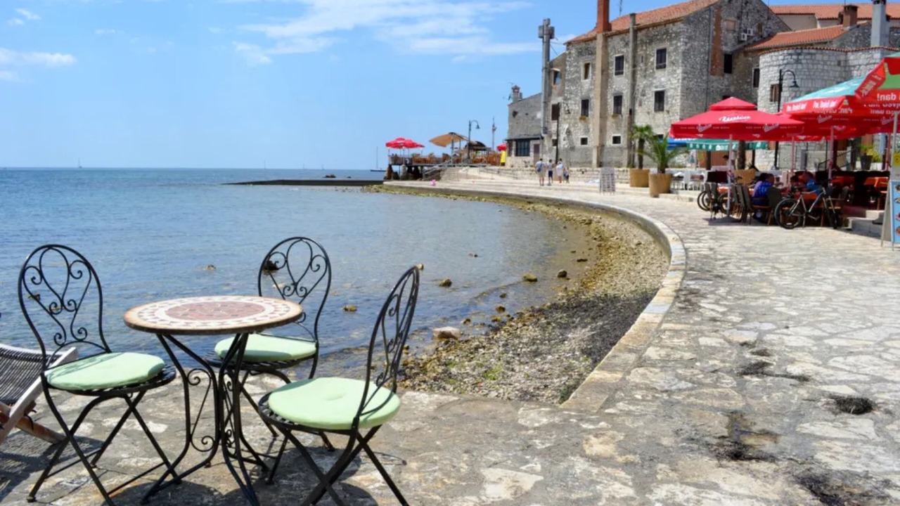 Photo of Outdoor in Murine