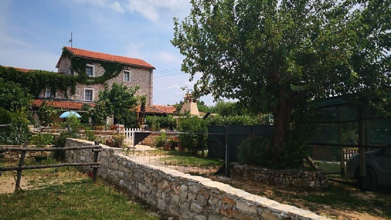 Photo of Others in Vardica