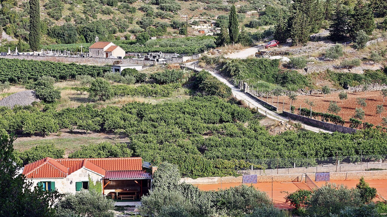 Photo of Outdoor in Dol