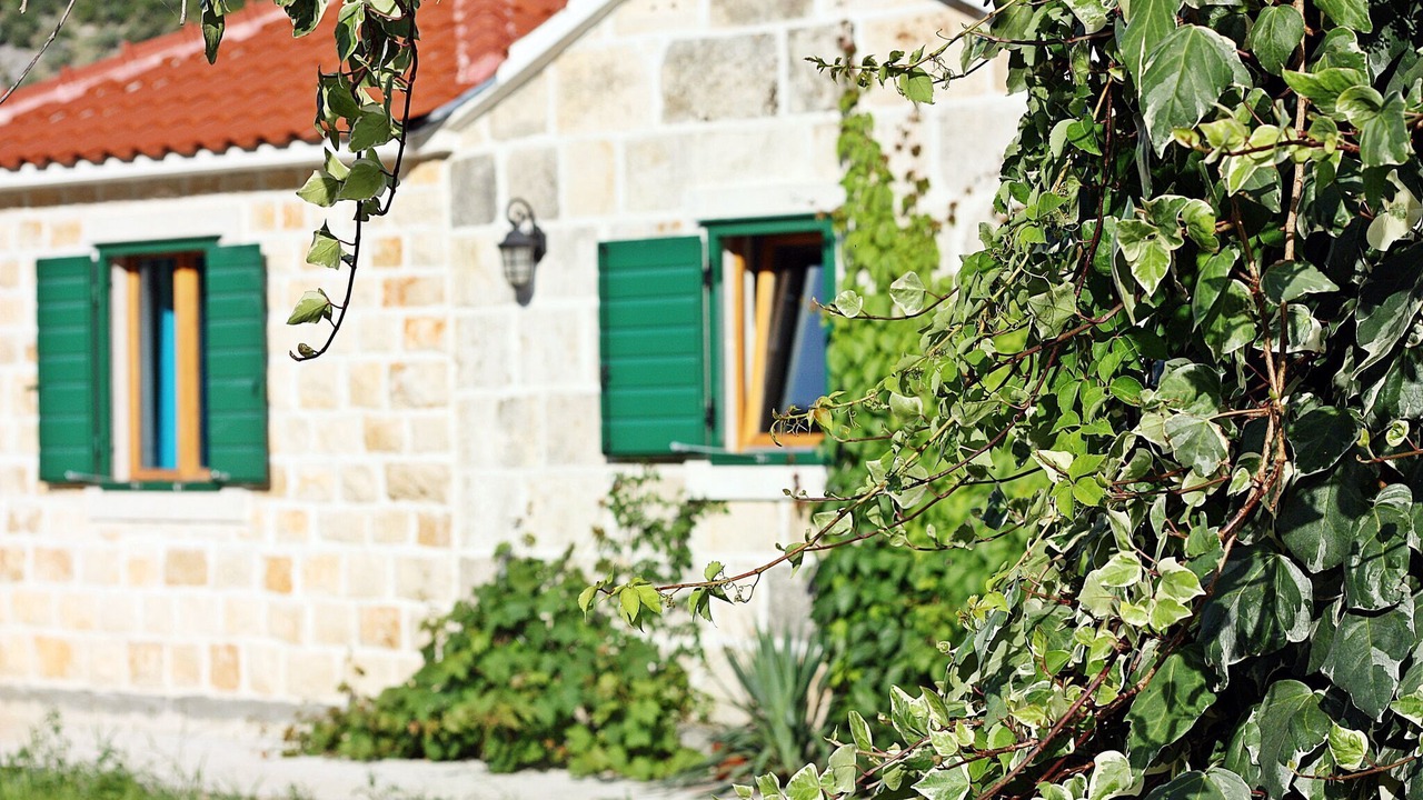 Photo of Outdoor in Dol