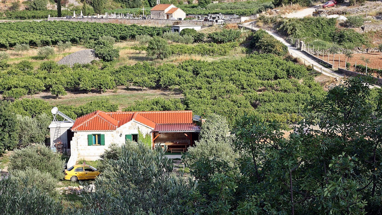 Photo of Outdoor in Dol