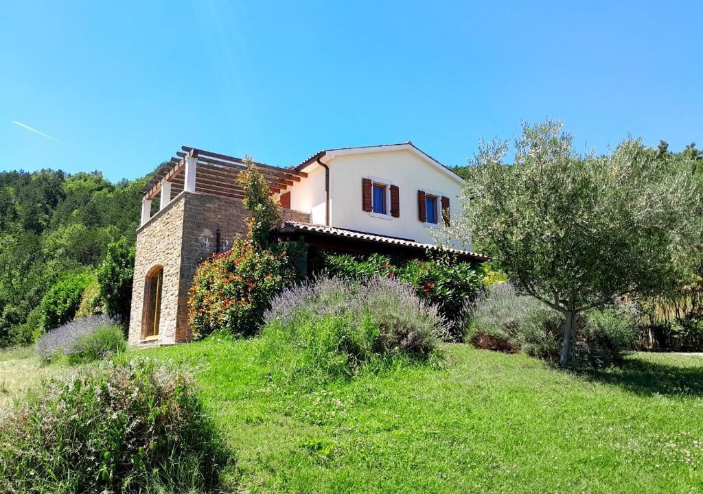 Photo of Outdoor in Buzet