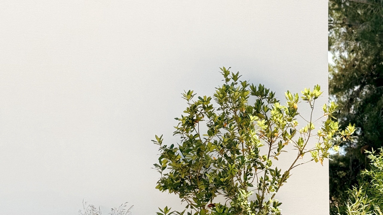 Photo of Outdoor in Maslinica