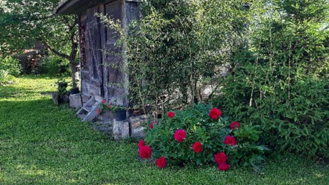 Photo of Patio Balcony in Draz