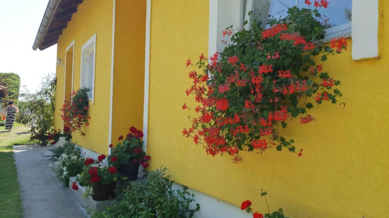 Photo of Patio Balcony in Draz
