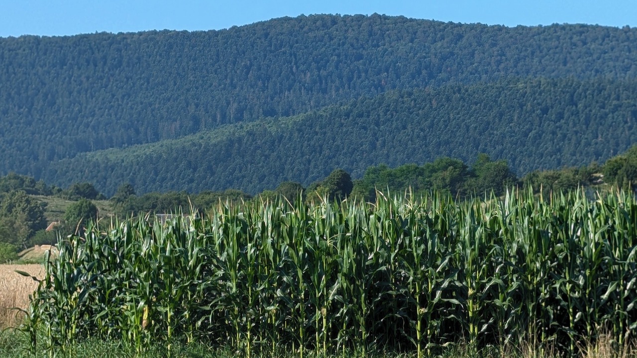 Photo of Outdoor in Brinje