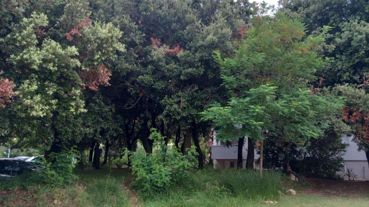 Photo of Outdoor in Palit