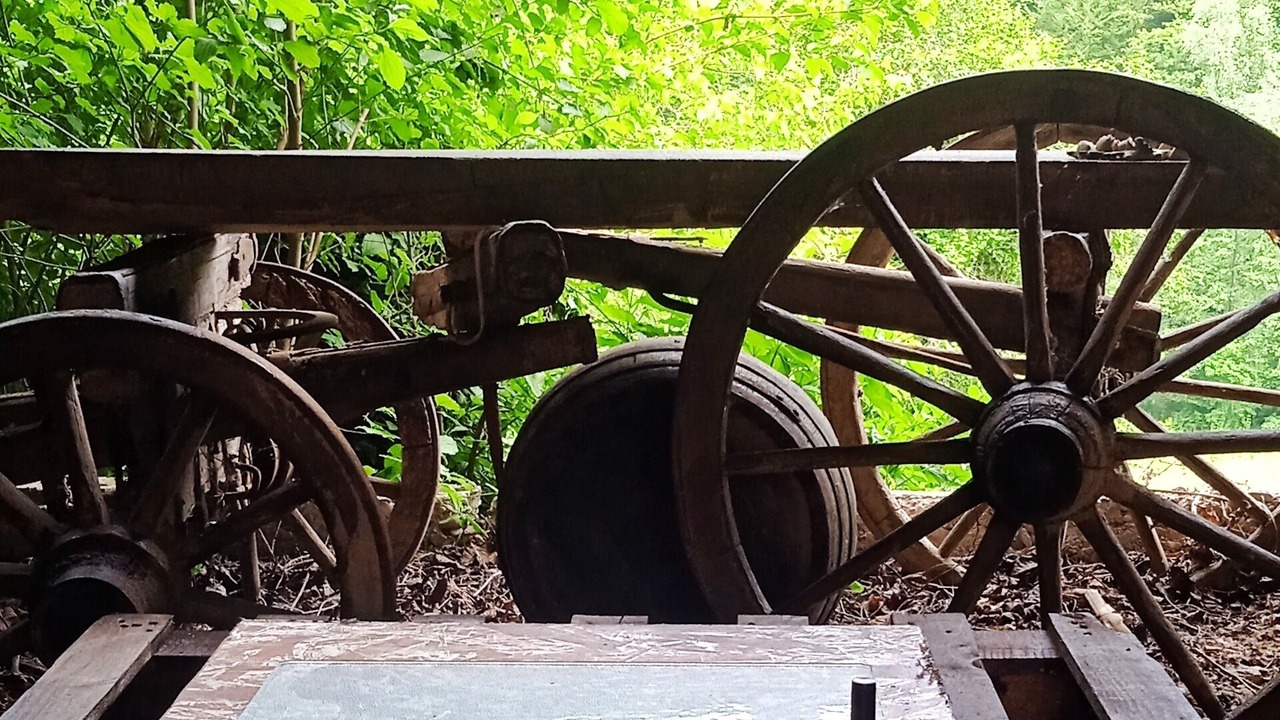 Photo of Outdoor in Veliko Trgovisce