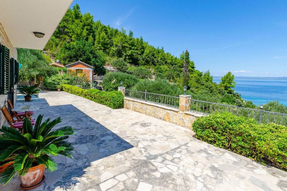 Photo of Outdoor in Babina