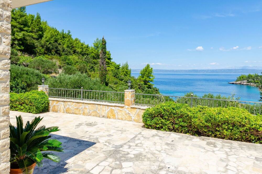Photo of Outdoor in Babina