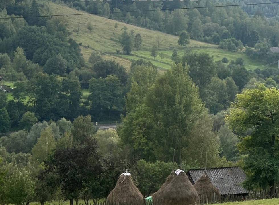 Photo of Outdoor in Banita