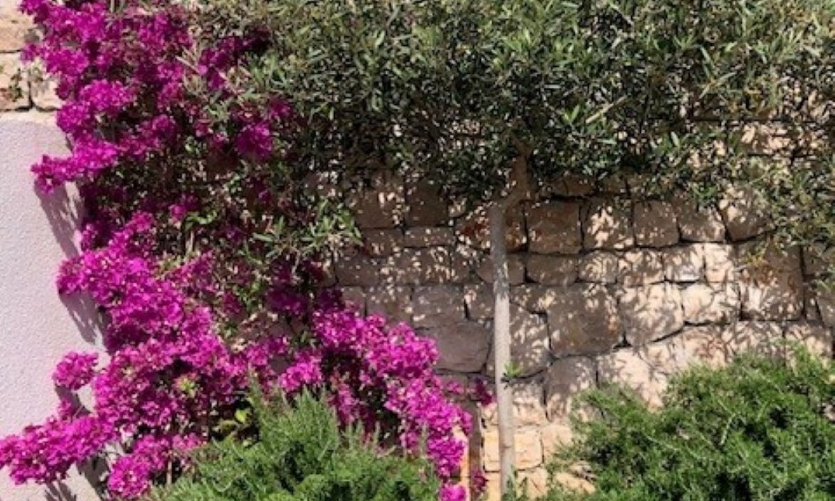 Photo of Outdoor in Milna (Brac)