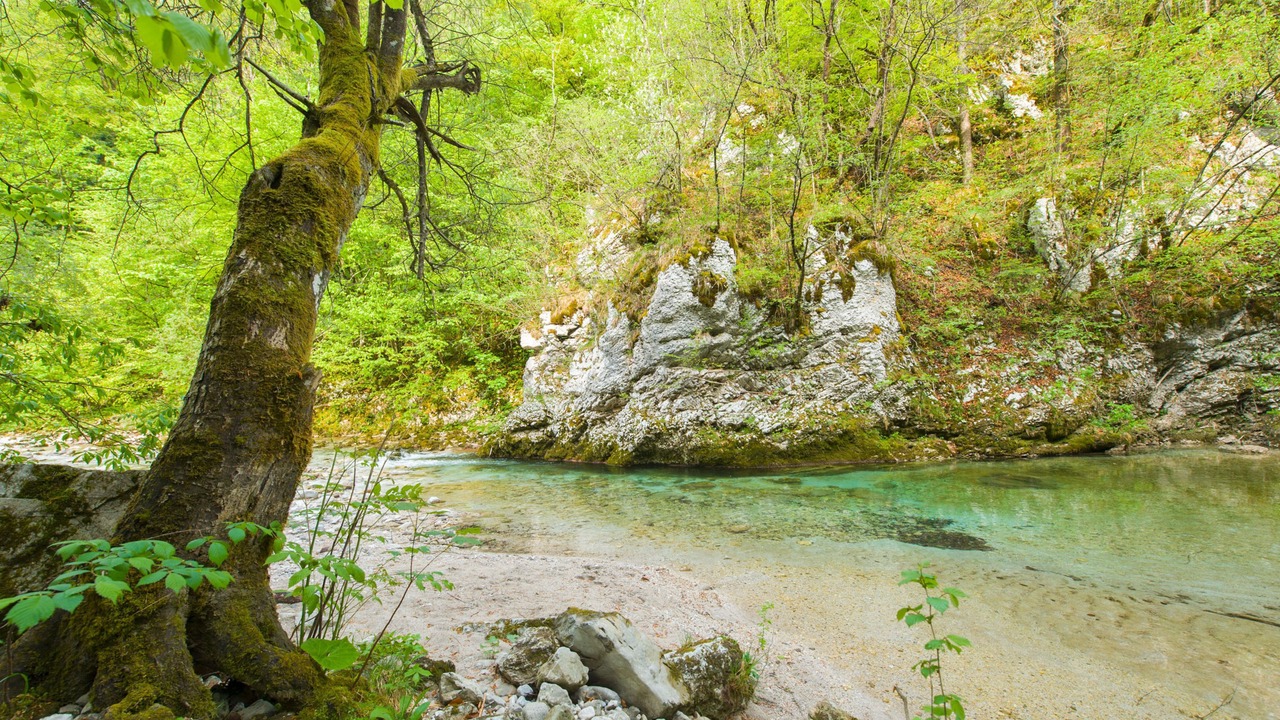 Photo of Outdoor in Spodnja Idrija