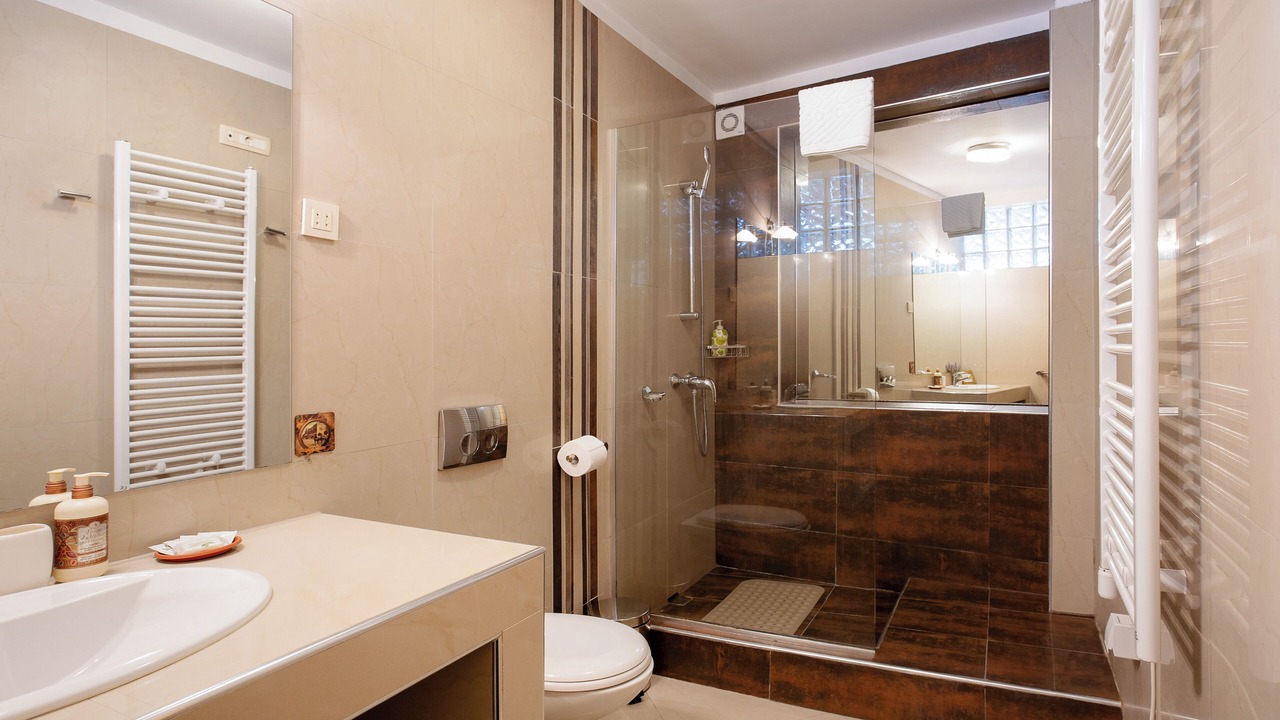 Photo of Bathroom in Skadarlija