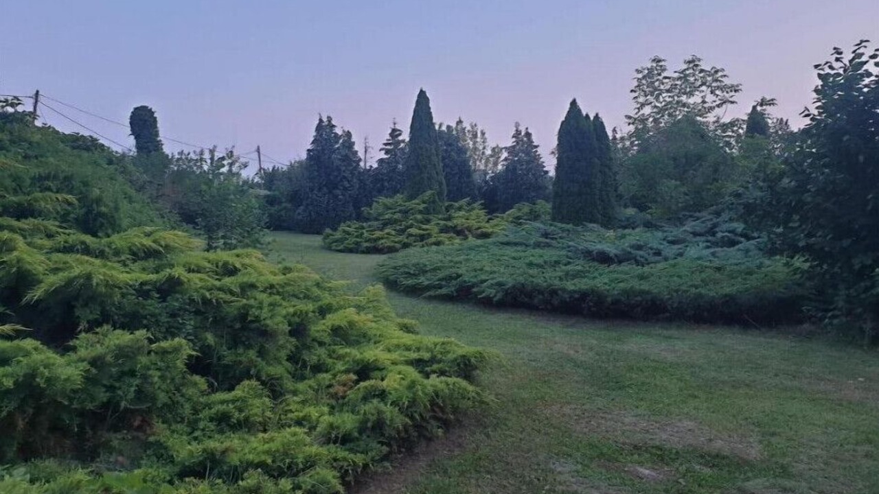 Photo of Outdoor in Erdut