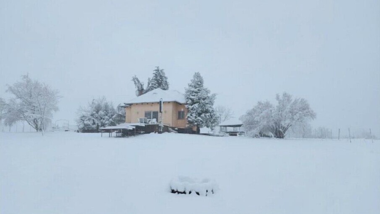 Photo of Outdoor in Erdut