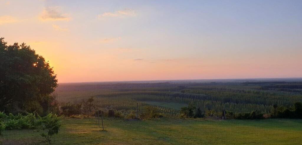 Photo of Outdoor in Erdut