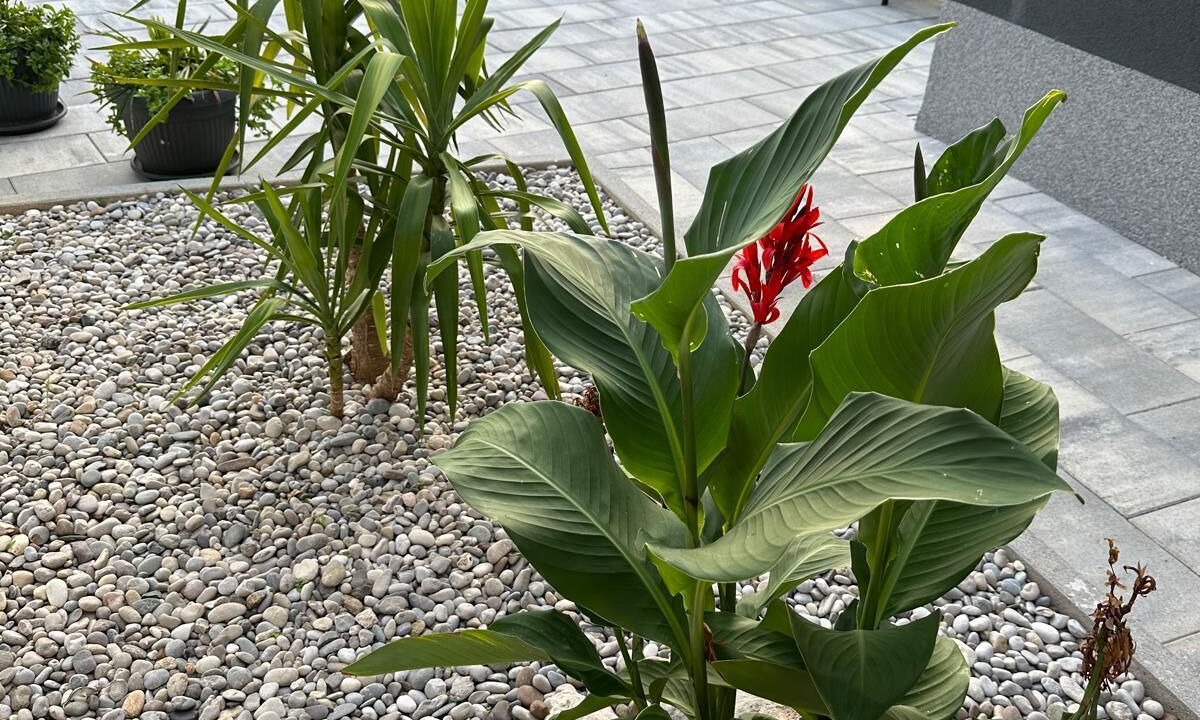 Photo of Outdoor in Runovici