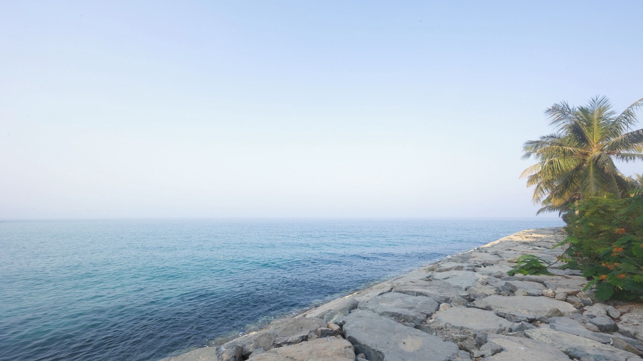 Photo of Others in Al Kubus