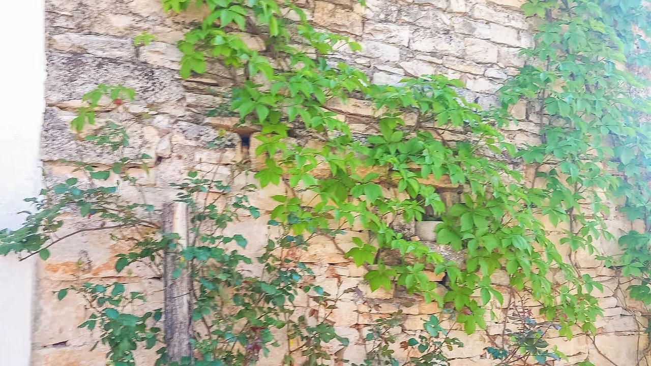 Photo of Outdoor in Grzini