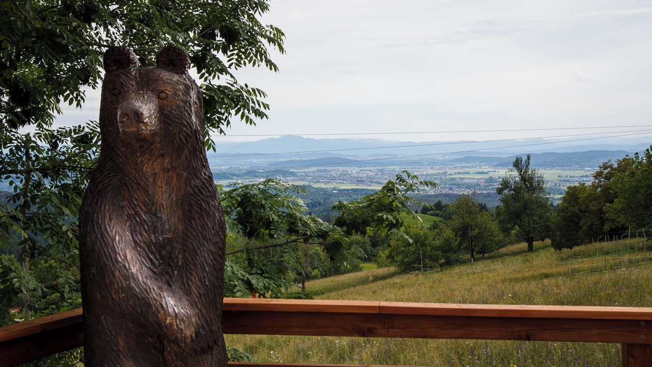 Photo of Outdoor in Kamnik