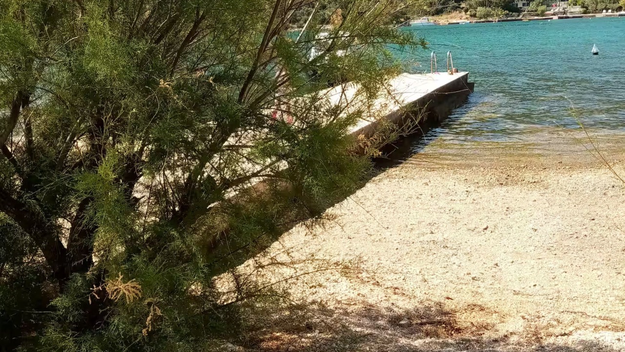 Photo of Others in Grebastica