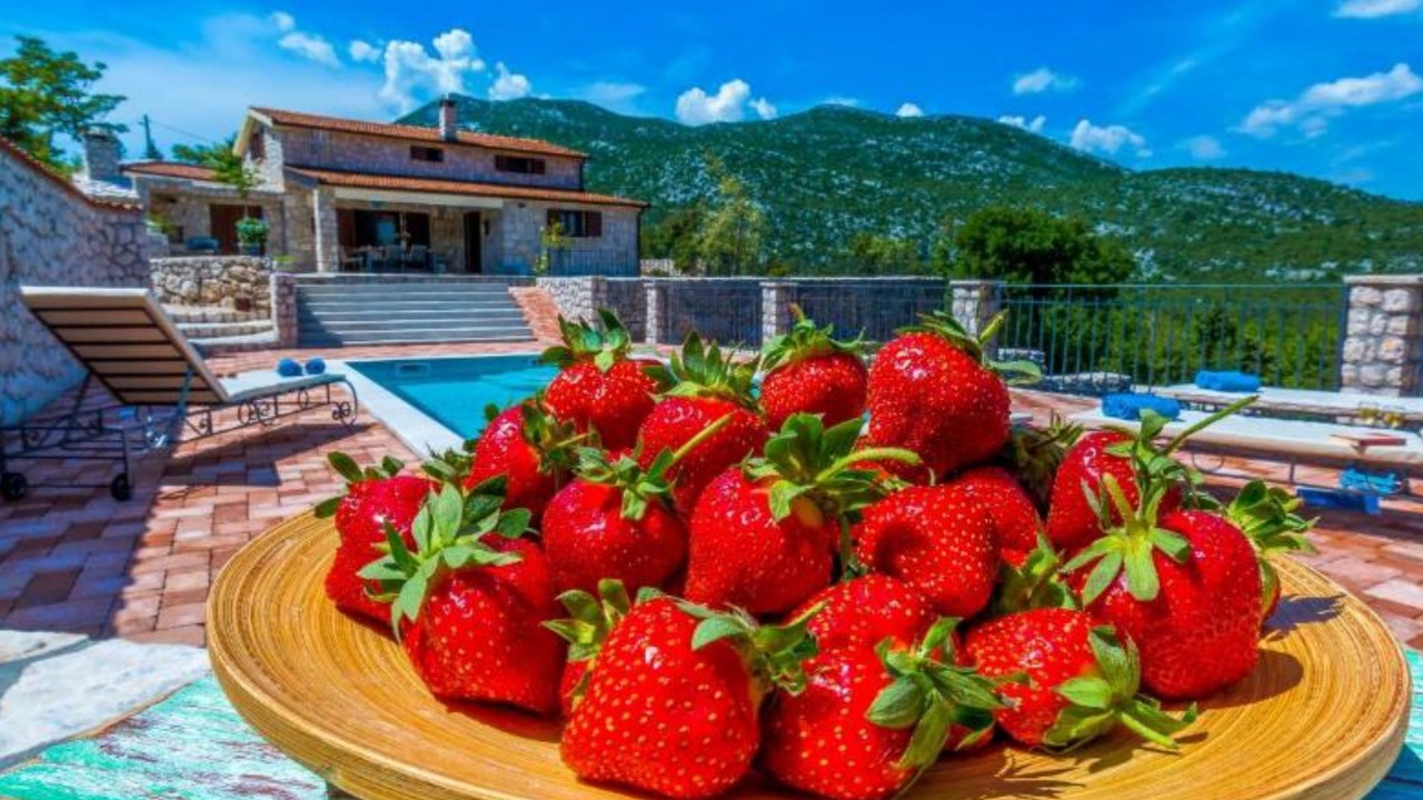 Photo of Outdoor in Vrgorac