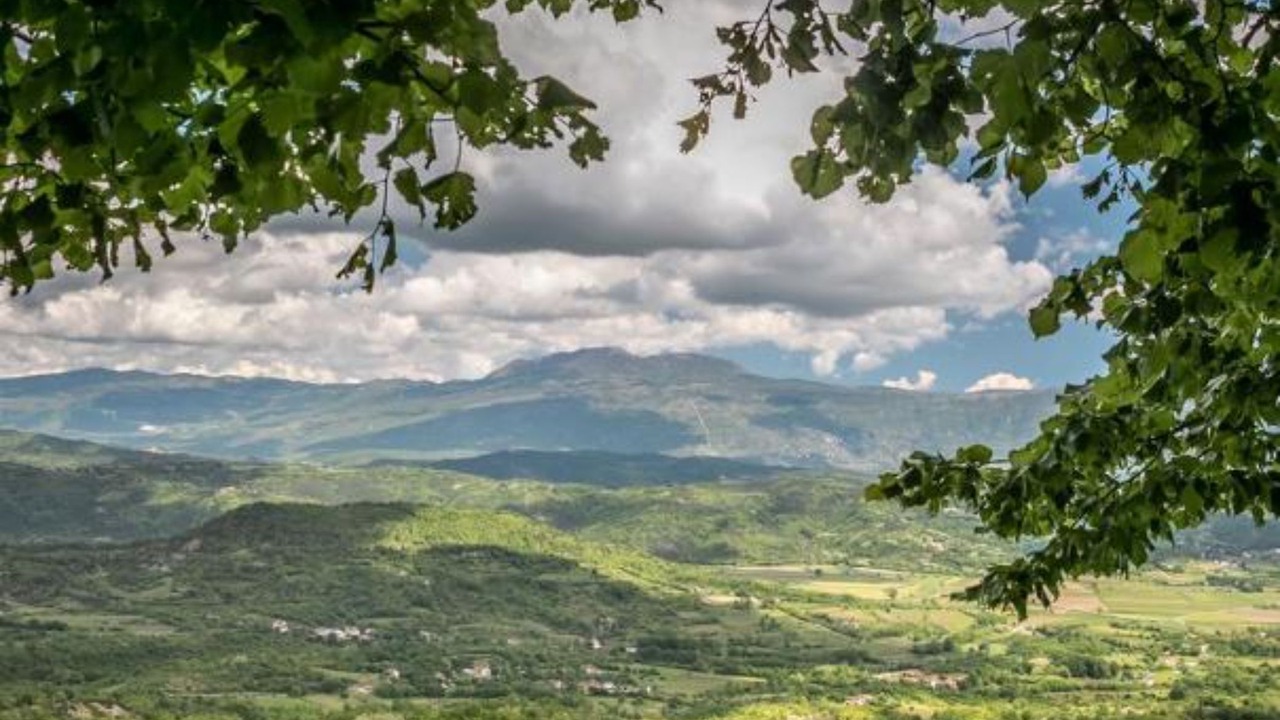 Photo of Outdoor in Pican
