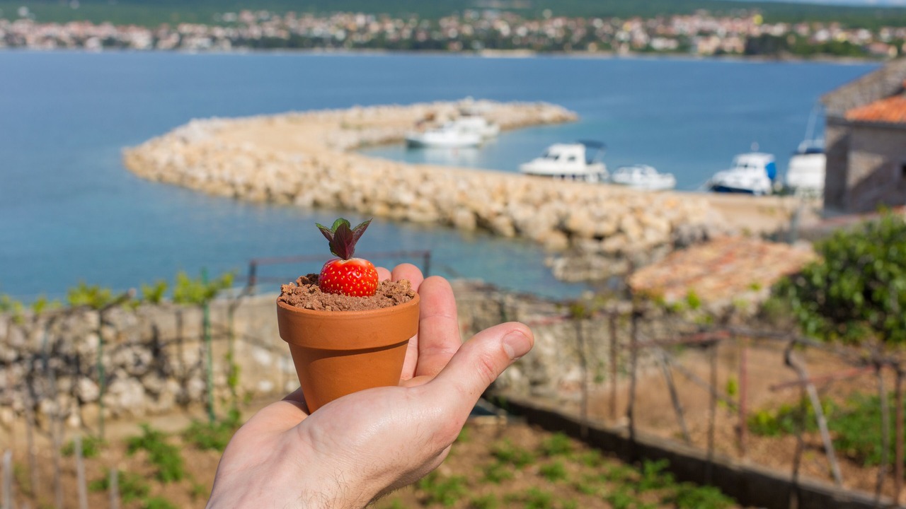 Photo of Others in Porat