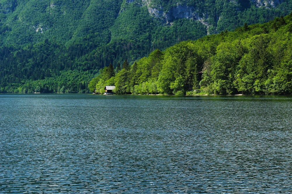 Photo of Others in Bohinjska Bistrica