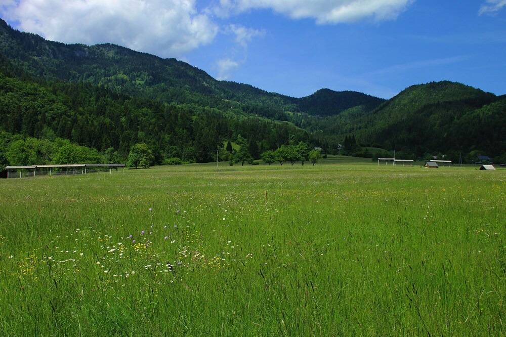 Photo of Others in Bohinjska Bistrica