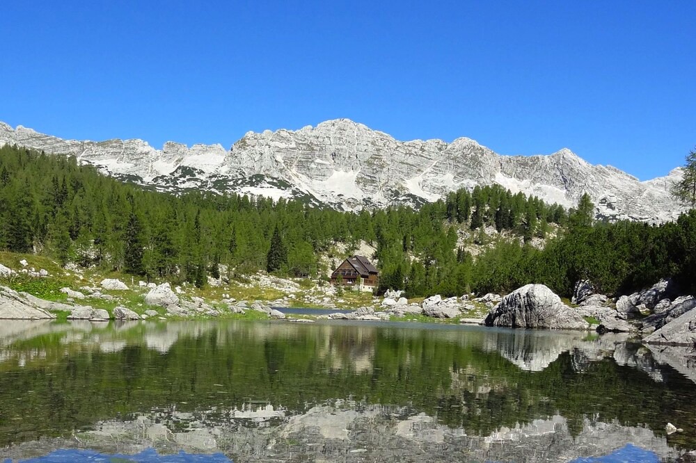 Photo of Others in Bohinjska Bistrica