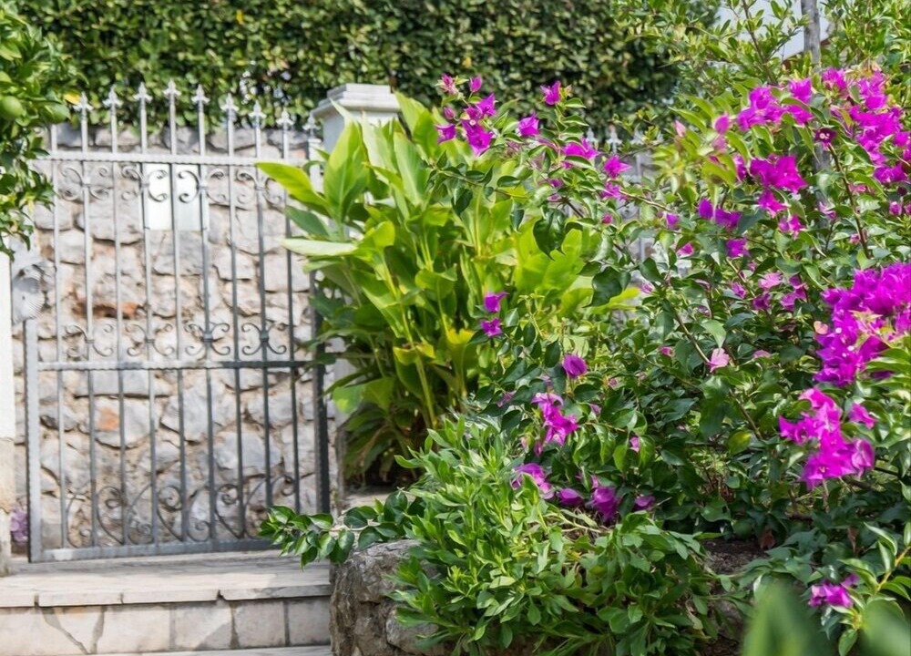 Photo of Outdoor in Cove Murtar