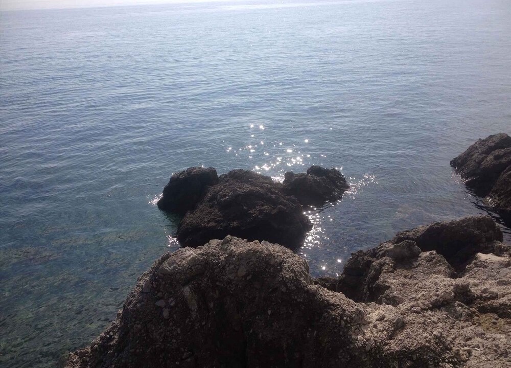 Photo of Others in Icici