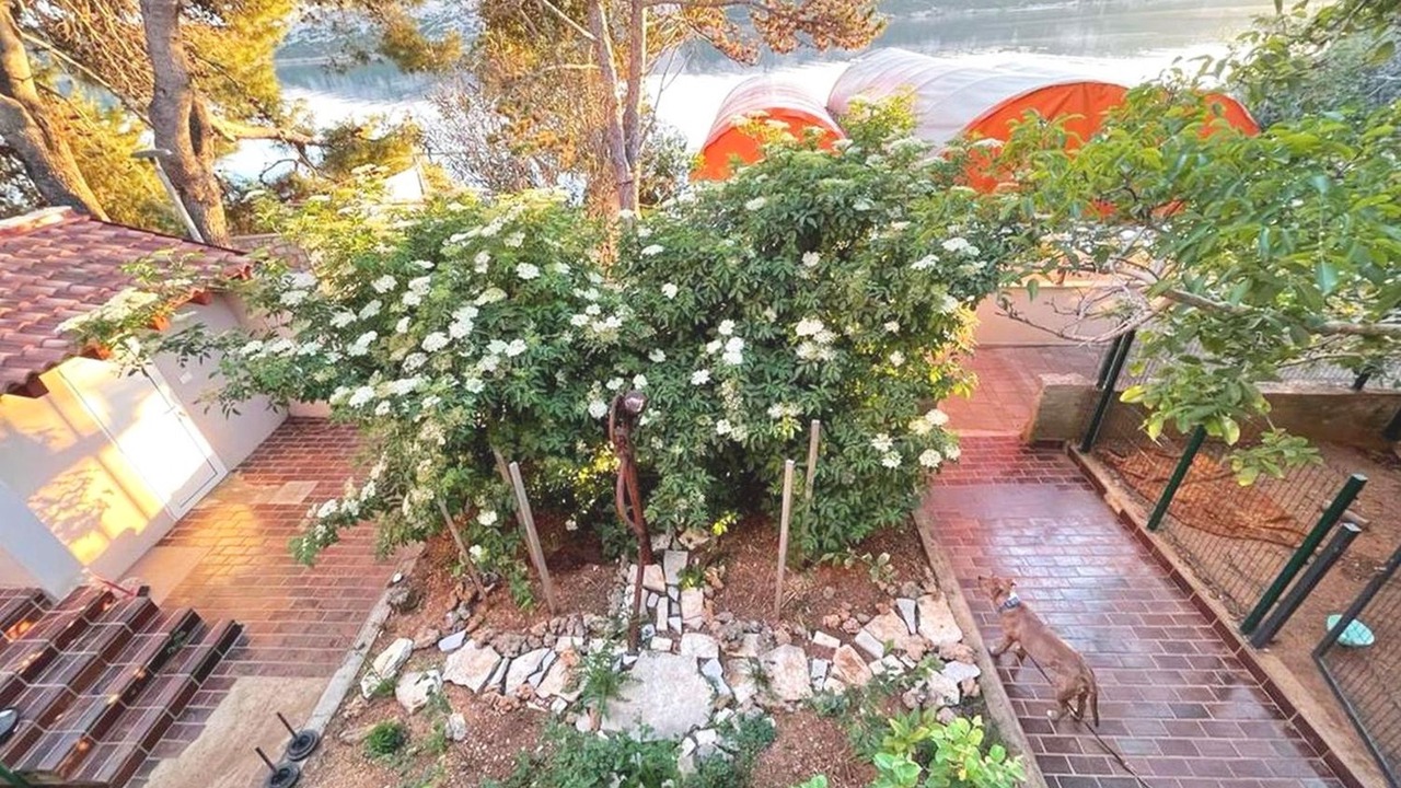 Photo of Outdoor in Stara Novalja