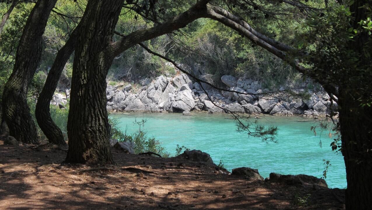 Photo of Others in Krk