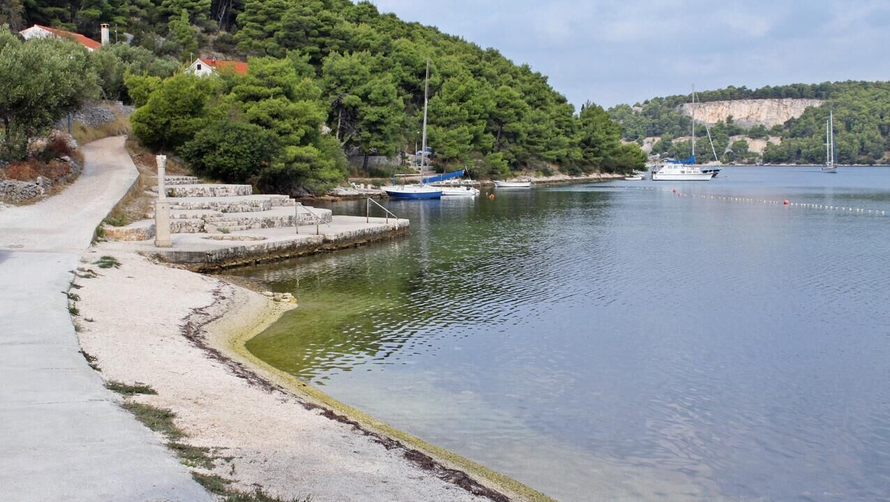 Photo of Others in Cove Makarac (Milna)