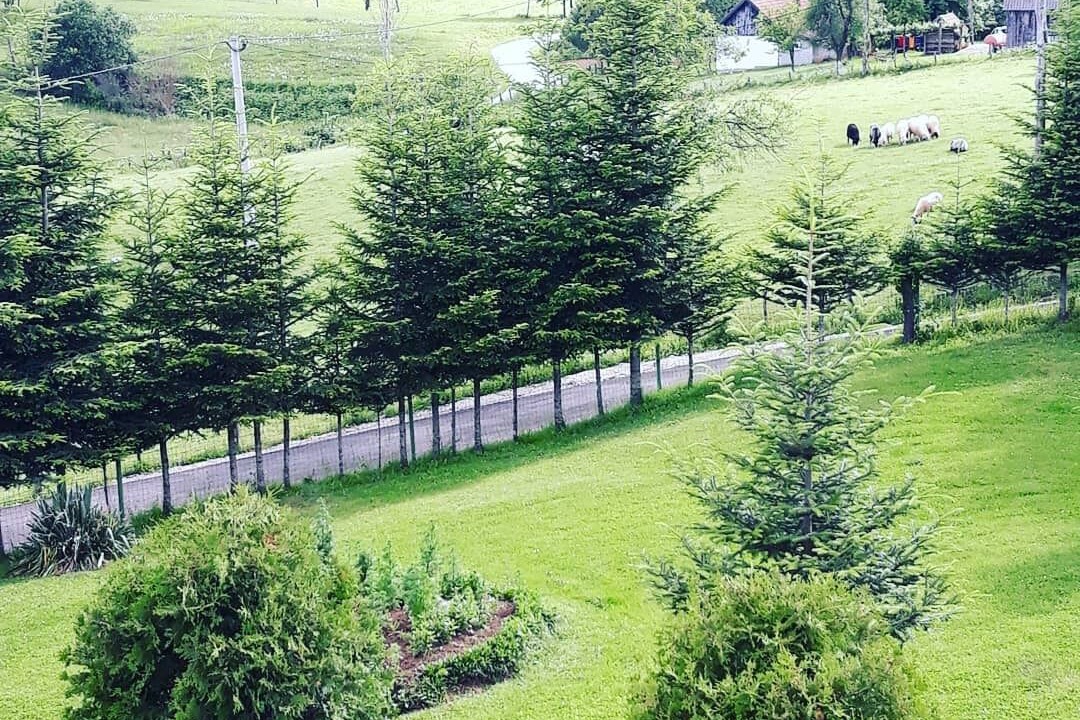 Photo of Outdoor in Rakovica
