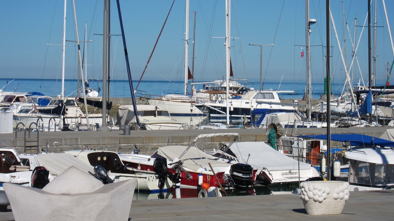 Photo of Others in Koper