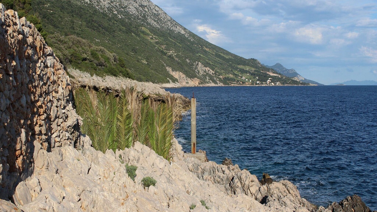Photo of Others in Orebic