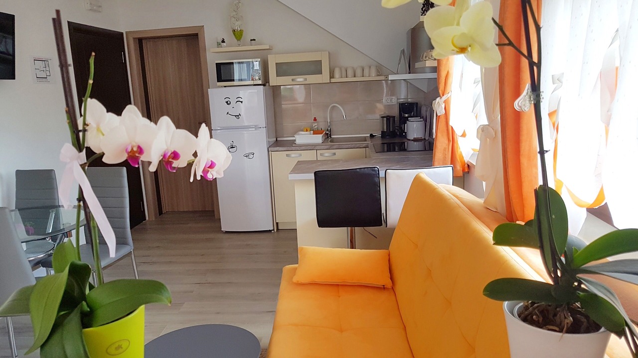 Photo of Livingroom in Seliste Dreznicko