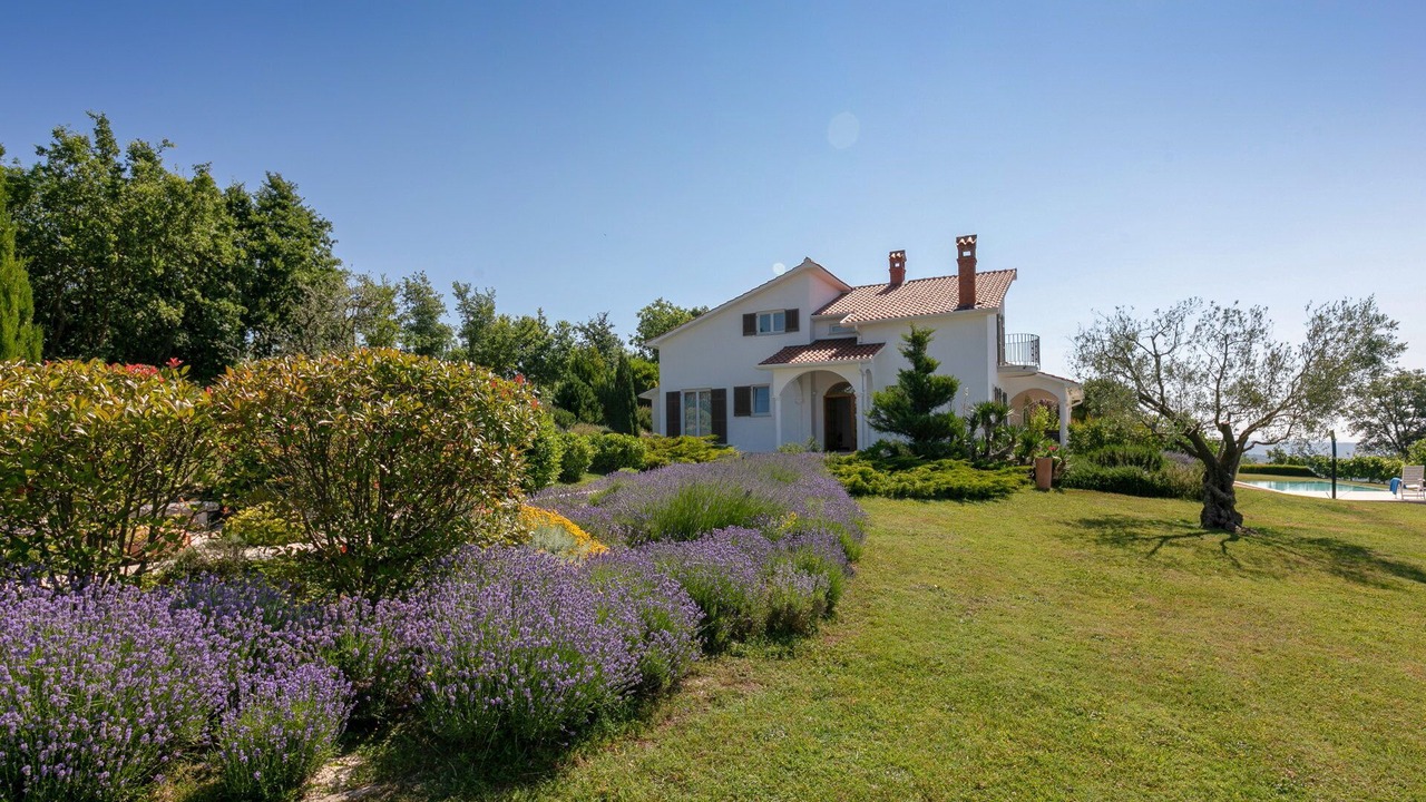 Photo of Outdoor in Trviz